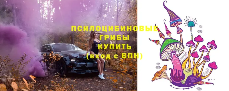 omg ссылки  Нижний Ломов  Галлюциногенные грибы MAGIC MUSHROOMS 